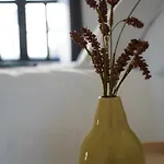 Luxurioeses Altbau Im Szenenviertel * 伍珀塔尔