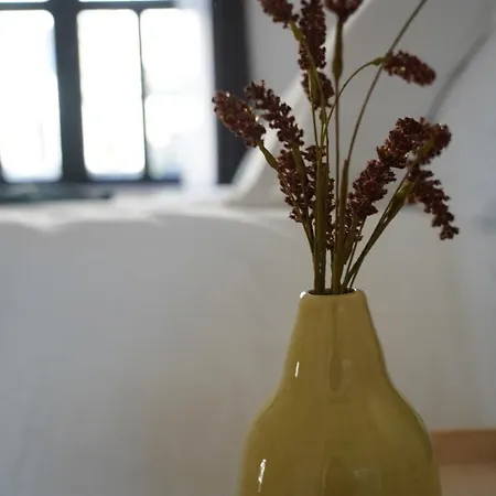 Luxurioeses Altbau Im Szenenviertel * Вупперталь