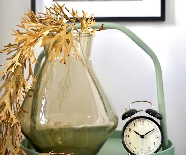 Luxurioeses Altbau Im Szenenviertel * Wuppertal