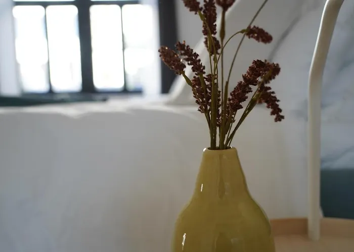 Luxurioeses Altbau Im Szenenviertel * Wuppertal